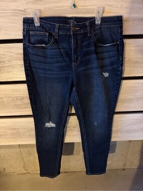 Time and Tru Dark Indigo Distressed Skinny Jeans